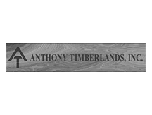 Anthony Timberlands